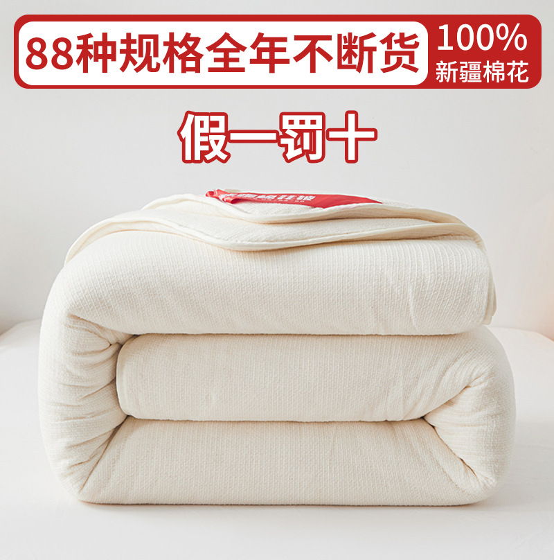 100 Xinjiang Cotton Quilt Pad Thickened Warm Winter Quilt Pure Cotton Quilt Core Spring and Autumn Quilt Student Dormitory