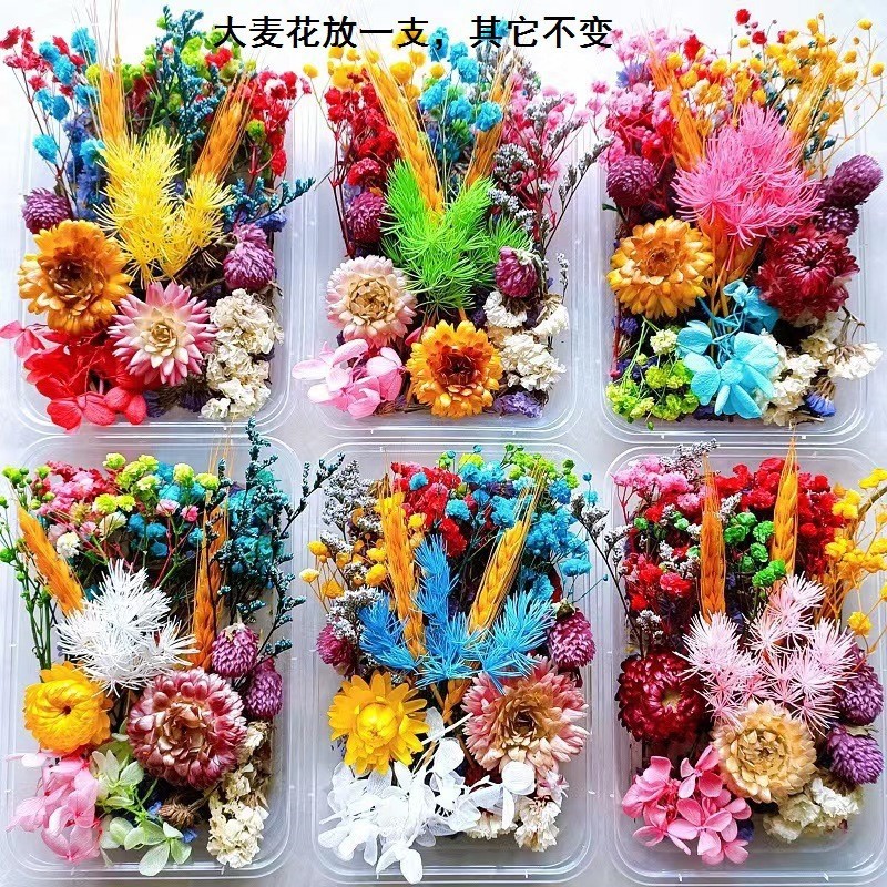 Floating Flower Dried Flower Immortal Flower Mother's Day 520 Gift DIY Fan Making Embossed Yunnan Dried Flower Wholesale