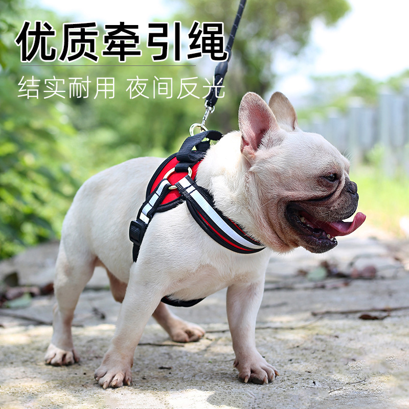 Нагрудный ремень для собак: дышащий, удобный, для мелких и средних собак