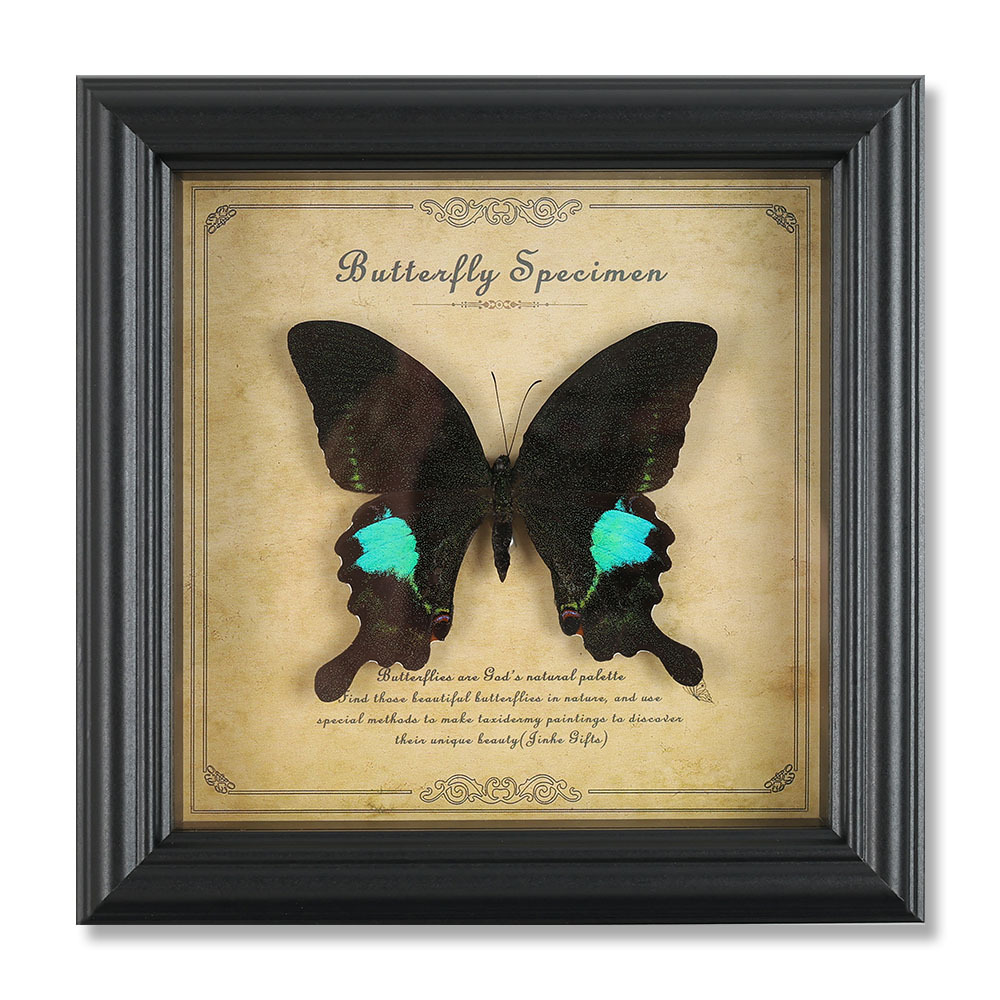 True Butterfly Specimen Photo Frame High-end Wooden Decorative Painting Home Decoration European Style Retro Photo Frame Table Birthday Gift