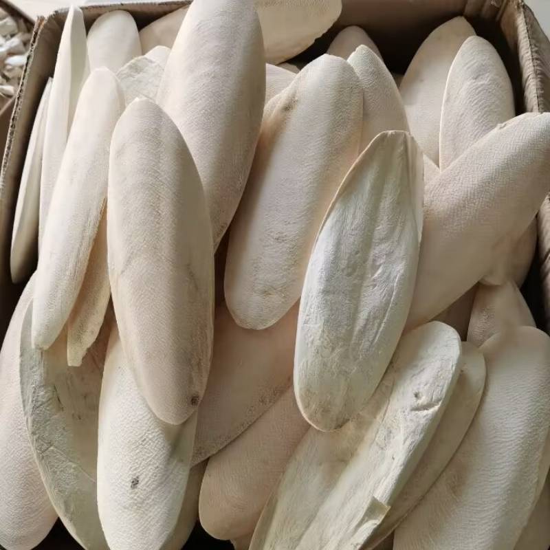 Source factory trimming cuttlefish bone pure natural parrot hamster pet calcium molar bird appliance cuttlefish bone string