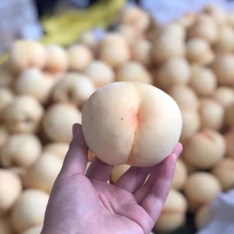 Shandong White Jade Large White Peach, Direct Delivery from the Place of Origin, Creamy White Peach, Free Shipping, Seasonal Fruit White Peach, Drop Shipping
