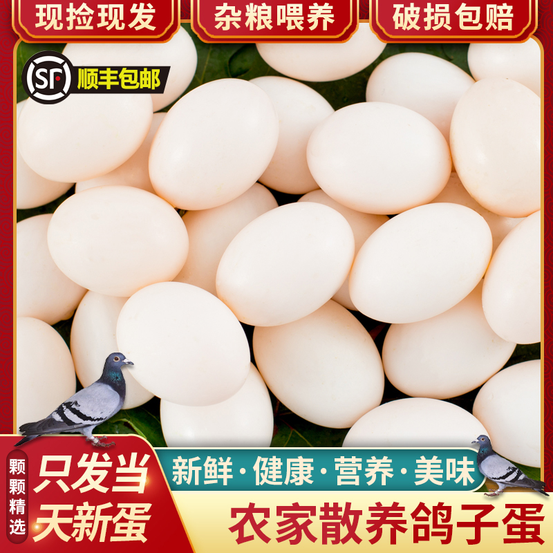 Fresh Pigeon Protein Homing Pigeon Farmer's Grains Free Range 30 Pieces 610g Treasure Pregnant Women Nutrition Sf Free Shipping