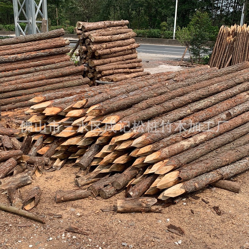 Pine pile flood control timber pile construction site river piling timber river bank flood control and flood control civil works greening support timber
