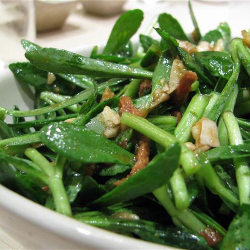 High-Vegetable Wild Vegetables Can Save the Heart. Calcium Vegetables Can Be Grown Now and Sold. Healthy Fresh Seedlings. Free Shipping for All Seasons