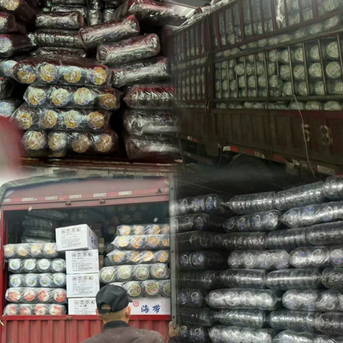 Wholesale Premium Dried Seaweed, Sand-Free, No-Rinse, Individually Packaged 20g, Xiamen Seaweed Specialty for Home and Business Use