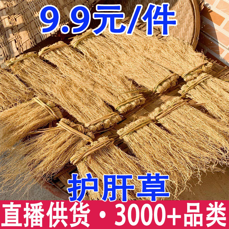 Трава печени, трава дракона, поставка первого поколения