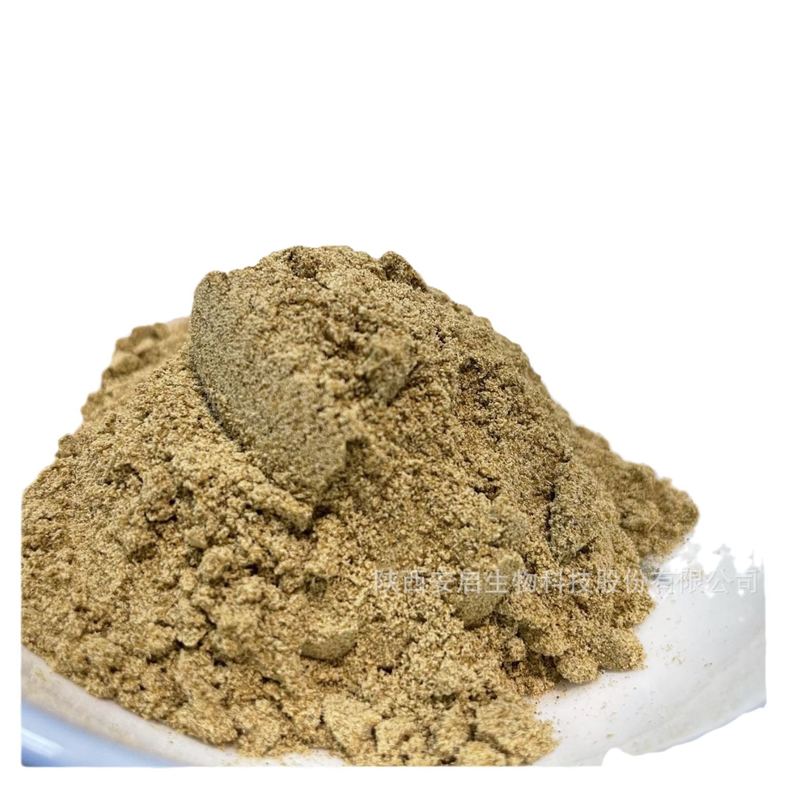 Green-Lipped Mussel Powder New Zealand Green Mussel Powder Green Mussel Extract Green-Lipped Mussel Powder 1 Kilogram Packaging