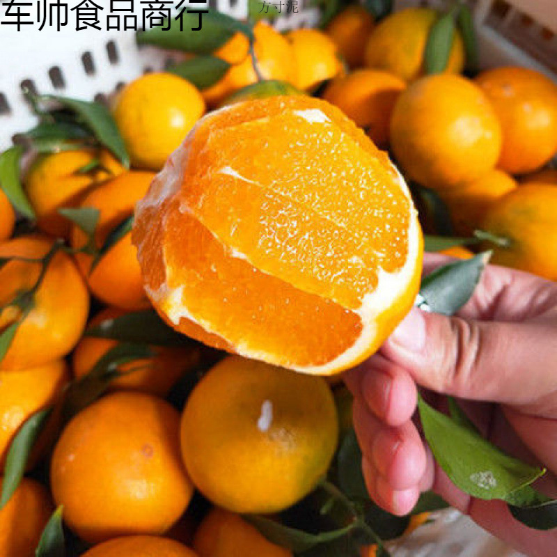 Orange Fresh Navel Orange Fruit Fresh Sweet Orange Rock Sugar Orange Non-Aiwan Jelly Orange Gannan Navel Orange Whole Box Wholesale