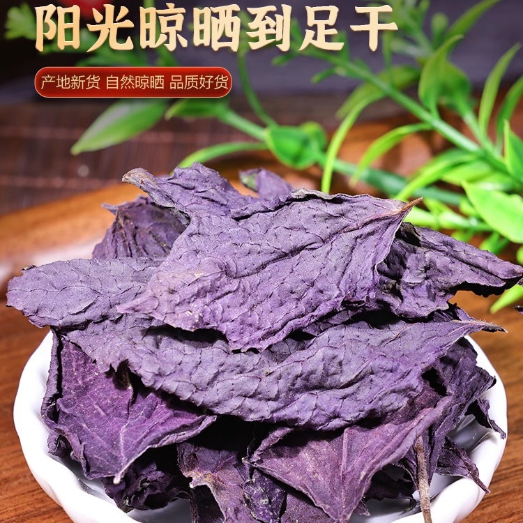Selected Perilla Leaf Chinese Herbal Medicine 100g Fresh Dried Goods Perilla Leaf Pure Leaf Tea Edible Spice