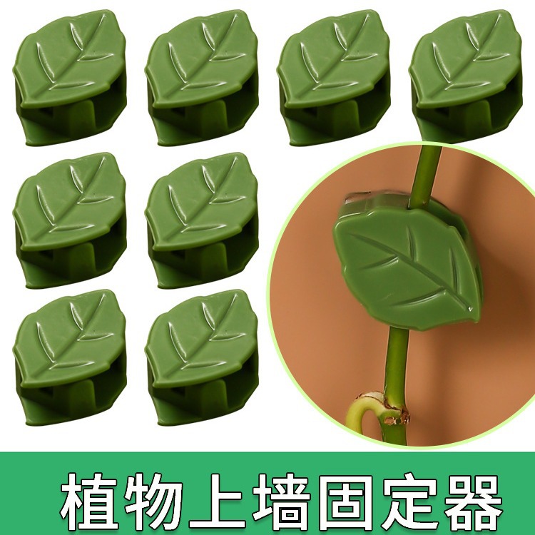 Держатель для вьющихся растений из зеленой редьки, держатель для стены, зажим для растений из ротанга, держатель для вьющихся растений из зеленой редьки
