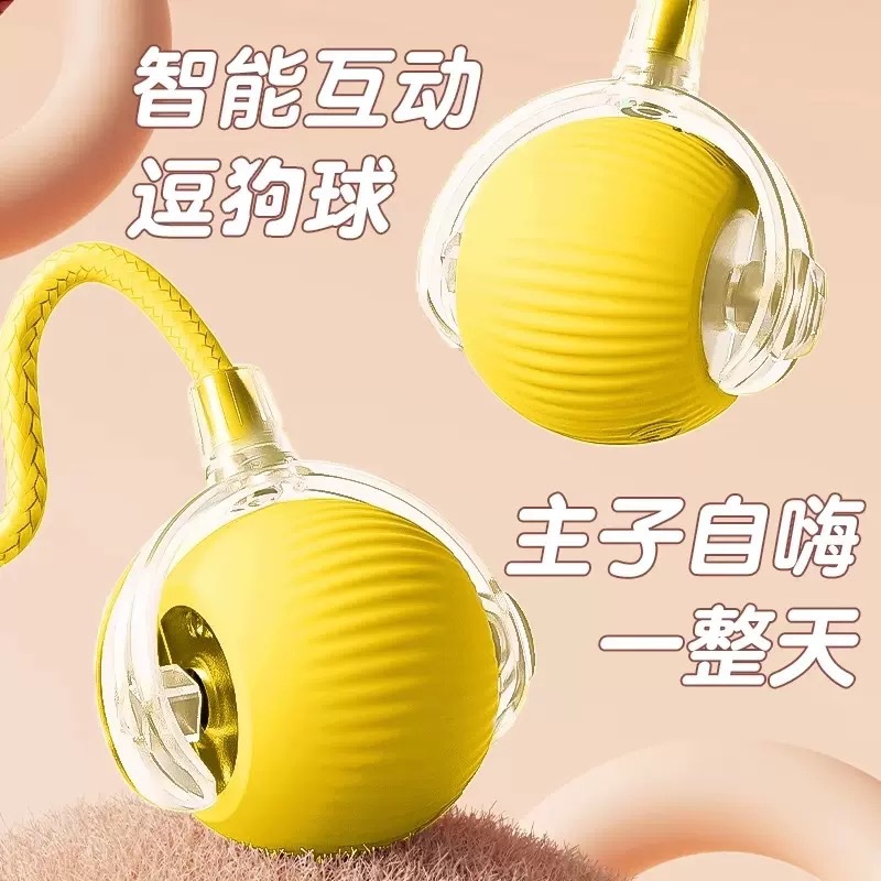 Cross-Border Pet Toy Ball, Cat Ball, Dog and Cat Self-Pleasure and Boredom Relief Artifact, Pet Toys, Pet Supplies, Cat Toys