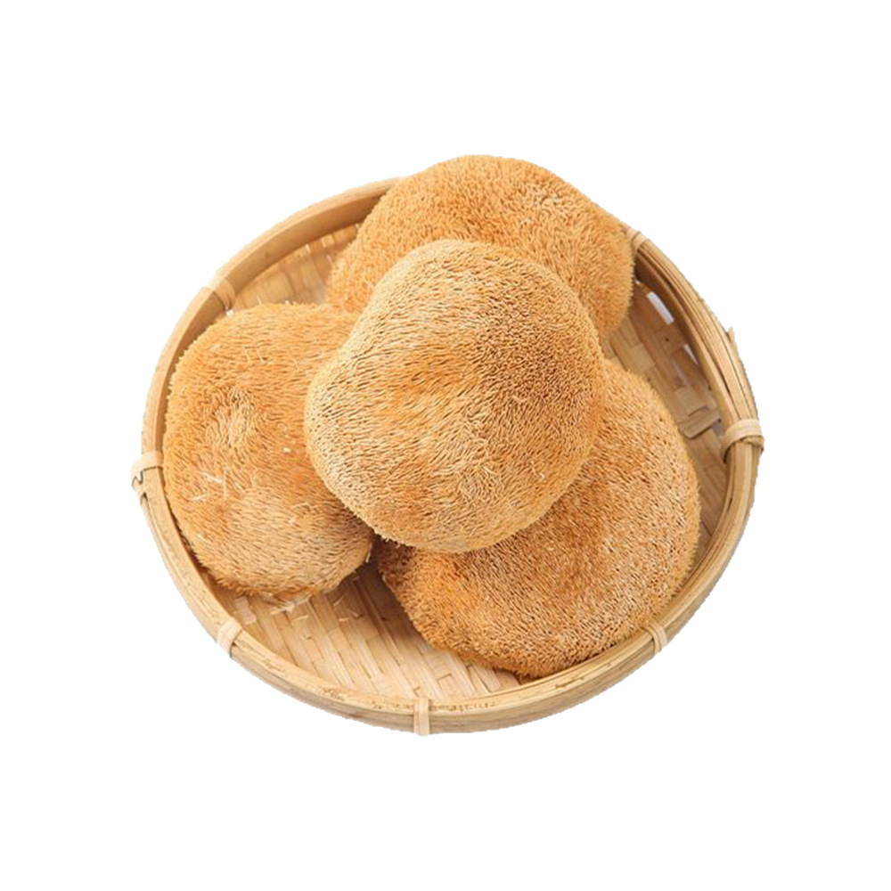 Direct Sales from the Place of Origin: Gutian Hericium 500g Dried Hericium, Gutian Specialty Wholesale Edible Fungi Hericium Wholesale