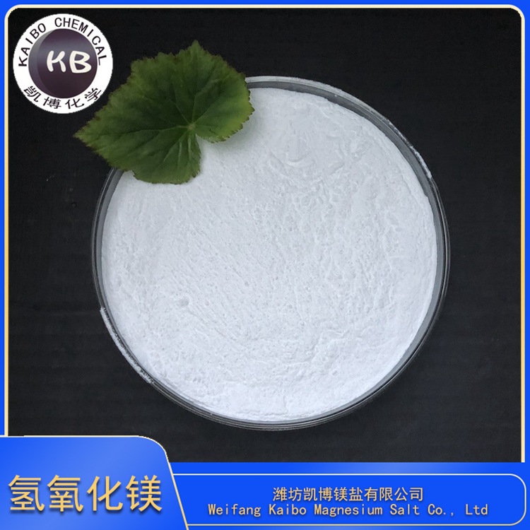 High Purity Fine Grain Size Magnesium Hydroxide Used for Neutralizer Adsorbent Petroleum Catalyst
