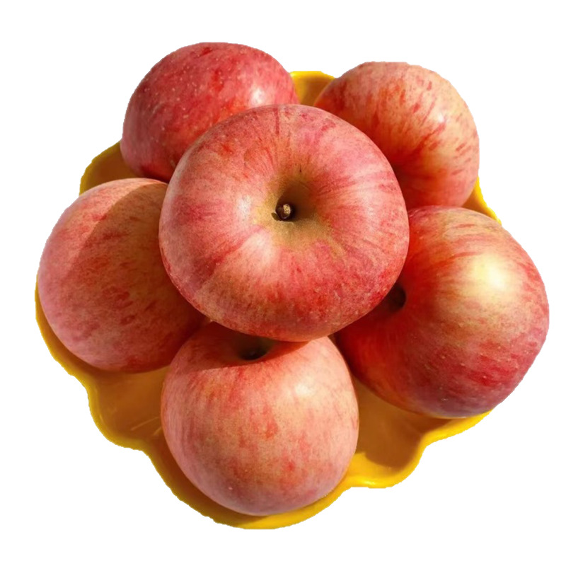 Wholesale Yantai Red Fuji Apples Fresh Apple Fruit Wholesale Crisp Sweet Red Fuji Apples Wholesale