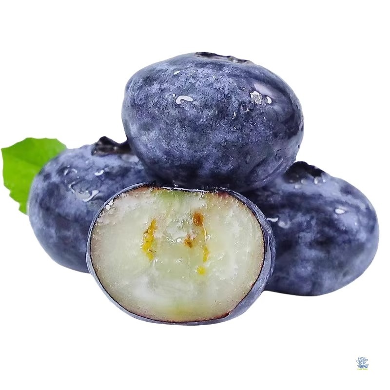 Blueberry Fresh Fruit Seasonal Whole Box Yike Yunnan Fresh Fruit Freshly Picked Extra Large Fruit Sf Free Shipping