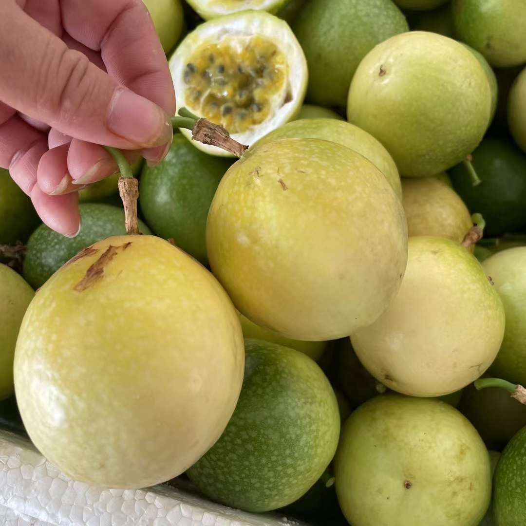 Guangxi Qinhmi No. 9 Golden Passion Fruit Fresh Fruit Seasonal Whole Box Passion Fruit Free Shipping Wholesale Trade