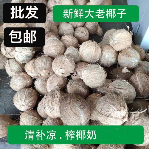 Hainan Old Coconut Refreshing and Cooling Coconut Chicken Old Coconut Meat Fresh Fruit Free Shipping