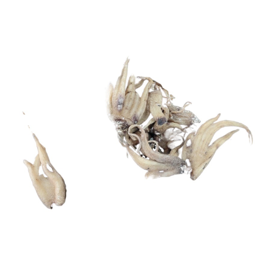 Xizang Linzhi Palm Ginseng, Sun-Dried Ginseng, Various Cold-Backed Ginseng