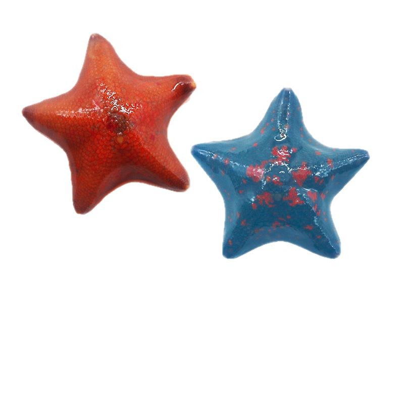 Pet Sea Swallow, Starfish, Live Seawater Ornamental Starfish, Aquarium Pet, Sand-Turning Marine Life, Big Star