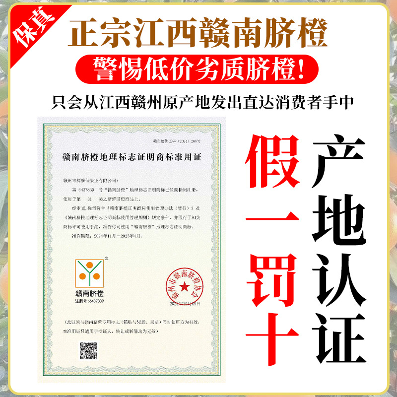 Jiangxi Gannan Navel Oranges 5kg Oranges Seasonal Fruits Fresh Ganzhou Jelly Hand-Peeled Rock Sugar Sweet Oranges Whole Box