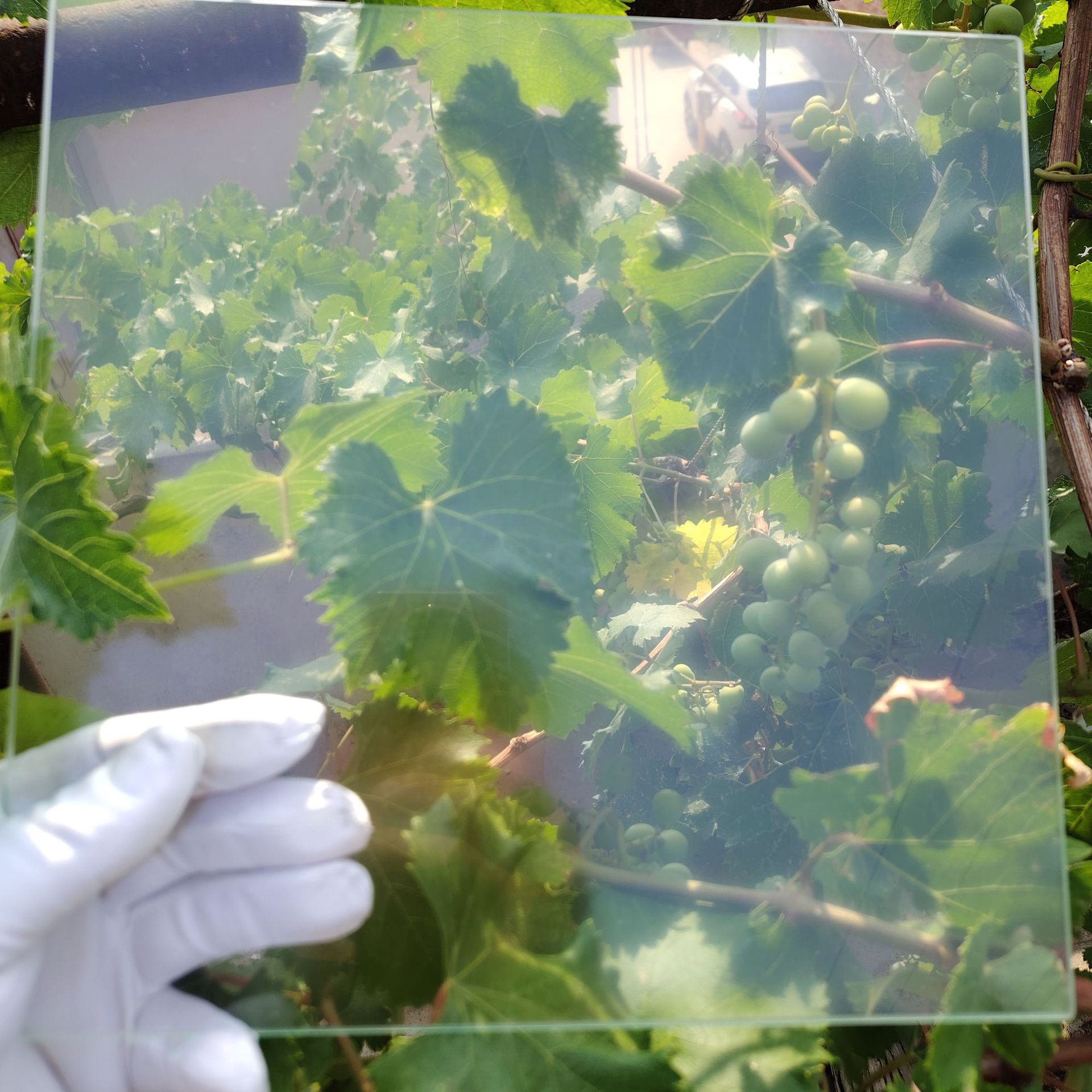 Source Manufacturer of Photoelectric Glass Anti-Newton Ring Universal Scanner Instrument for Large Format Picture Frame Frosted Processing