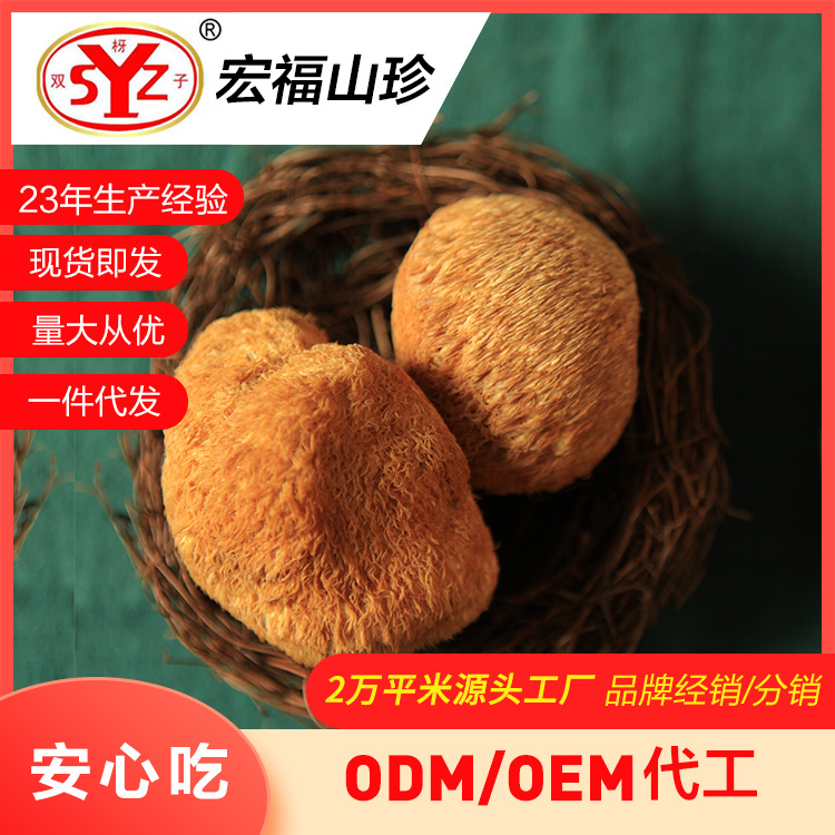 Производитель гриба обезьяний, 500г, оптовая продажа, свежий гриб