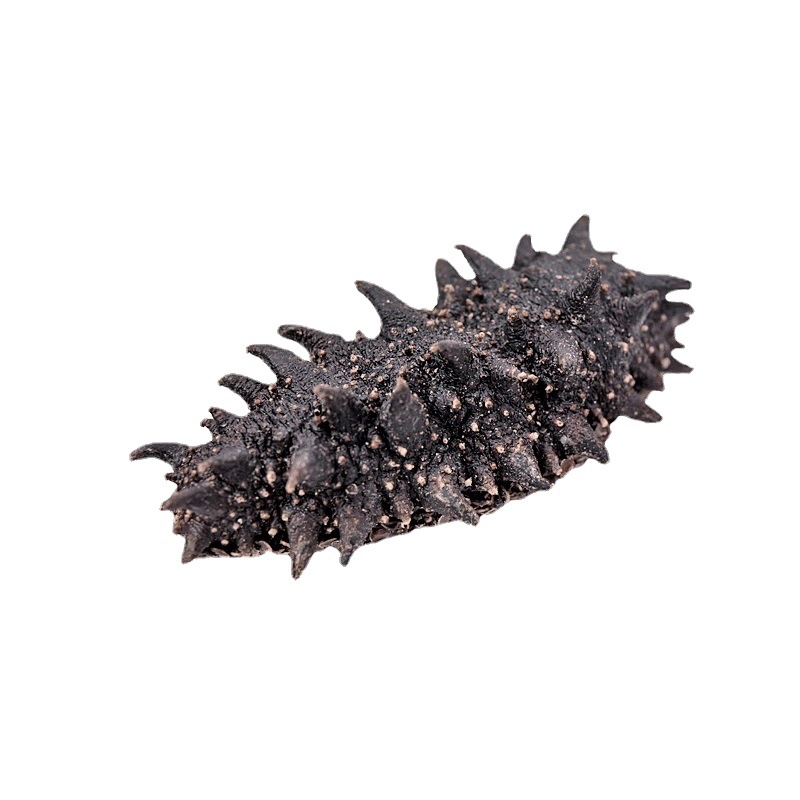 Light Dried Sea Cucumber, Good Price, Small Dried Sea Cucumber, Light Dried Sea Cucumber, Non-Wild Dalian Liao Sea Cucumber, Ready-To-Eat Dried Sea Cucumber