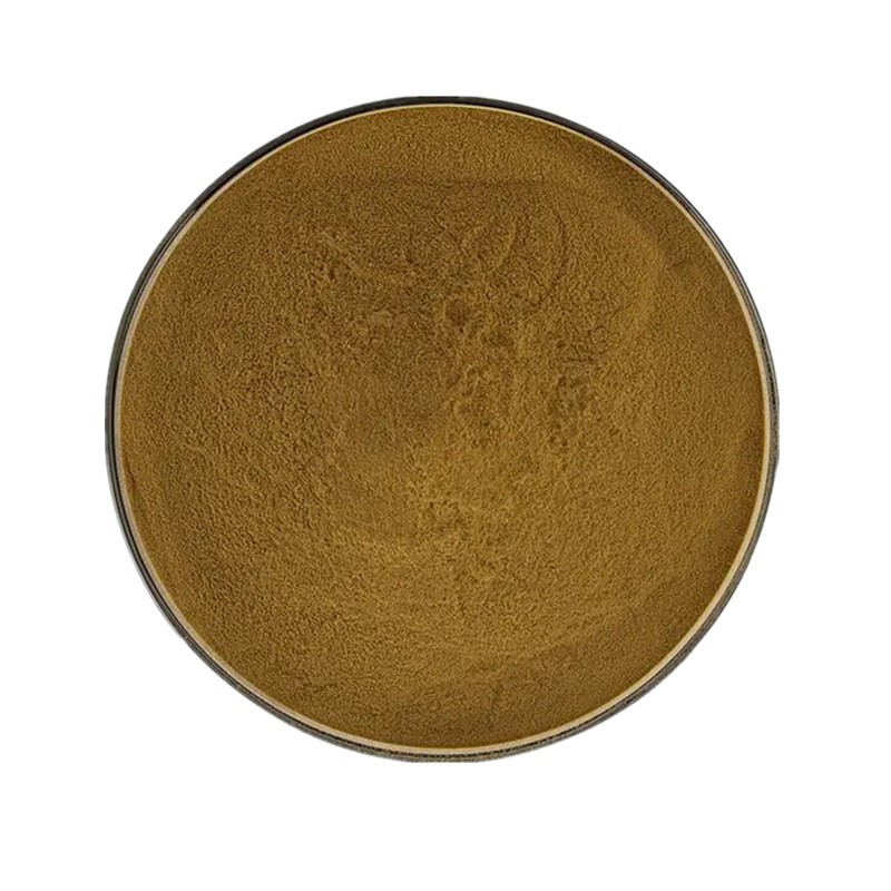 Leech Extract Leech Extract Water Soluble Leech Powder Instant Concentrated Powder Proportion Extraction 10:1 Chengxiang