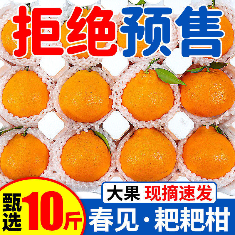 Сычуаньский мандарин Мэйшань, аутентичный Пуцзян, сезонный свежий фрукт, неуродливый мандарин
