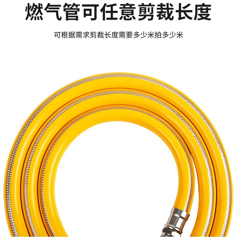 Steel Wire Metal-Coated Gas Pipe Liquefied Gas Connecting Pipe Gas Stove Gas Tank Cylinder New National Standard Certification Explosion-Proof