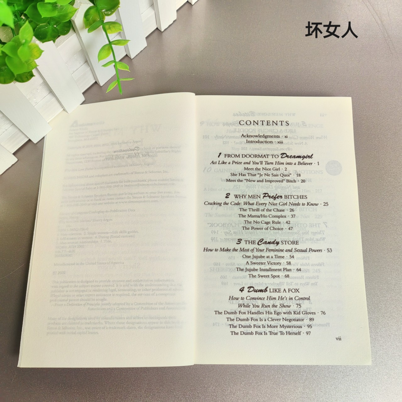 Why Men Love Bitches From Doorma