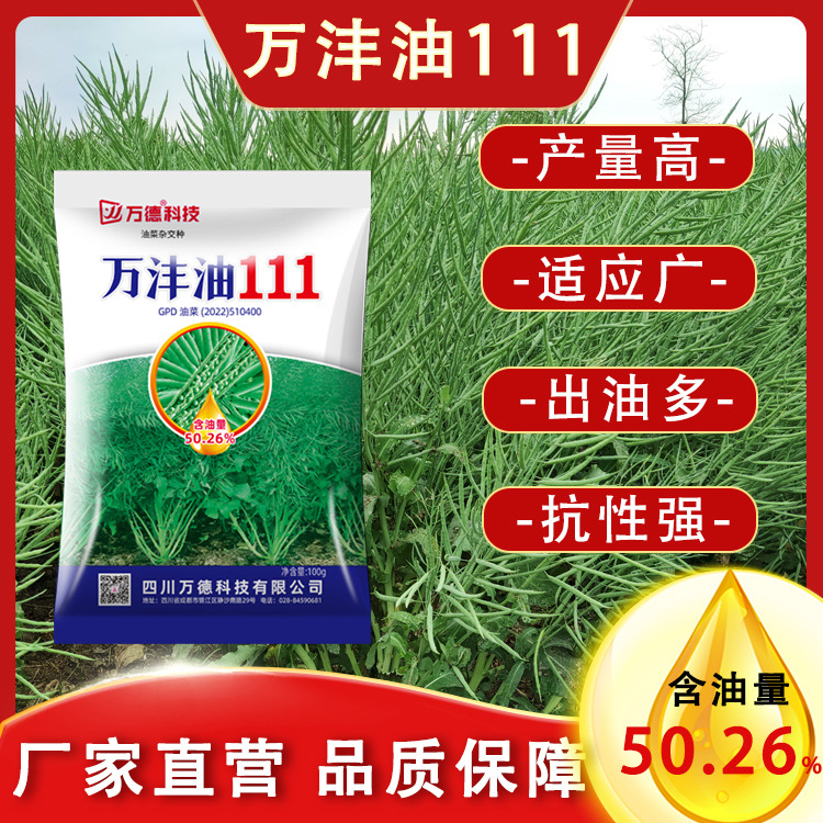 Ванфэнью 111 рапс с высоким масличным выходом, высокий урожай, высокая устойчивость к полеганию, короткие стебли, крупные безкапсульные и холодоустойчивые