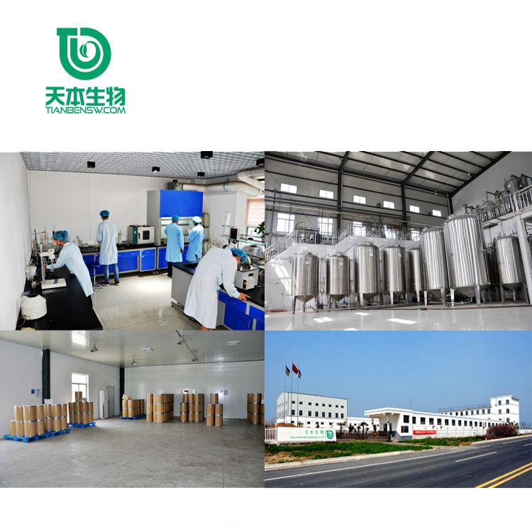 Xi'An Tianben Sc Manufacturer Maca Extract 10:1 Yellow Maca Powder Maca Extract Natural Raw Material Extraction