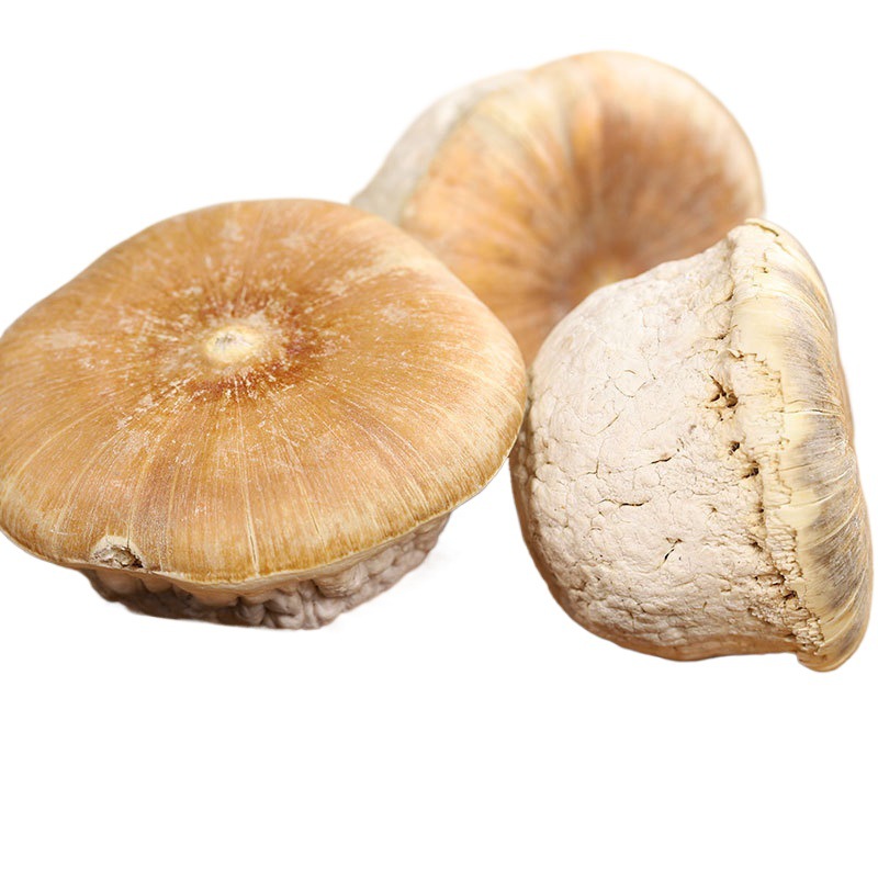 Fengliu Fruit, Kidney-Tonifying Fruit, Turtle Head Fruit, Tianzhu Seed, Turtle Head Fruit, Black and White Soaked in Wine, Fengliu Fruit Powder Substitute