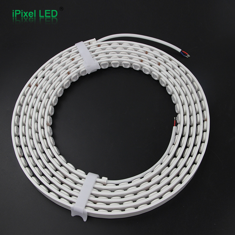 20X10Mm Flexible High-Brightness Led Neon Light with Dc24V Customizable Outdoor Waterproof Flexible Wall Washer with Transparent