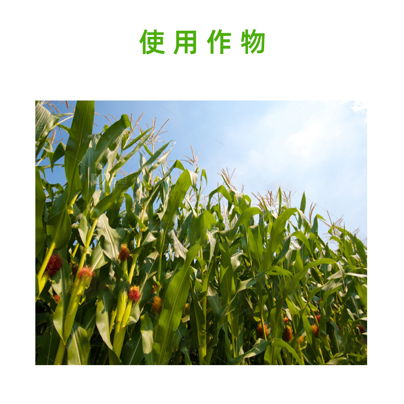 Biye 14-Hydroxythiacetin Wettable Powder Corn Growth Regulator Plant Growth Regulator