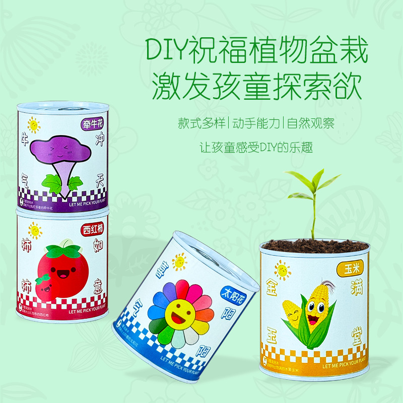 Customized Graduation Gift DIY Children's Potted Plants Blind Box Office Green Plants Potted Plants Mini Desktop Planting Potted