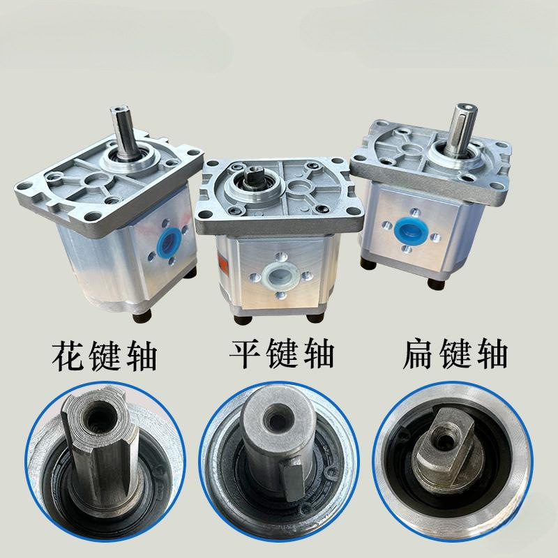 Hydraulic Gear Pump Oil Pump Assembly Cbn-F310/314/316/20/25 Small High-Pressure Oil Pump Complete Pump Head