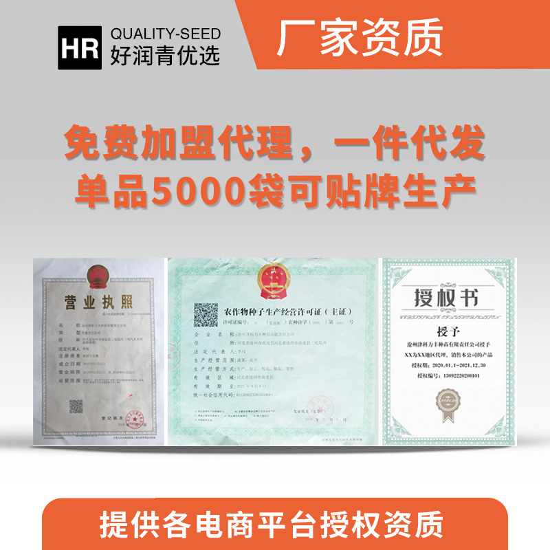 Source Manufacturer Wholesale Radish Seeds Collection Autum White Radish Red Carrot Shawo Fruit Green Radish Seeds