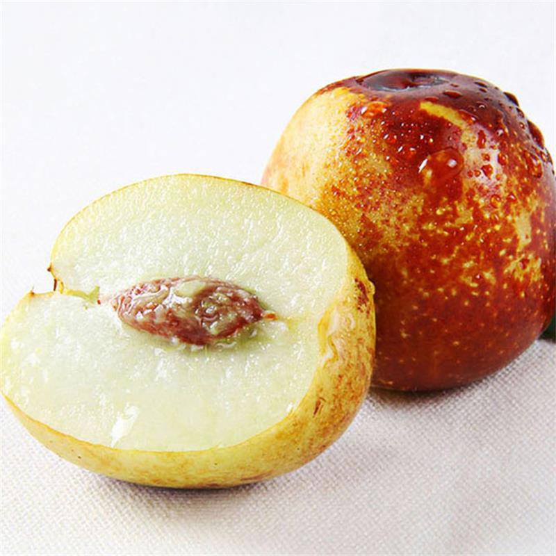 Shaanxi Dali Winter Jujube Direct from the Place of Origin, Fresh Jujube, Winter Jujube, Free Shipping, Seasonal Fruit, Winter Jujube, One Piece Drop Shipping