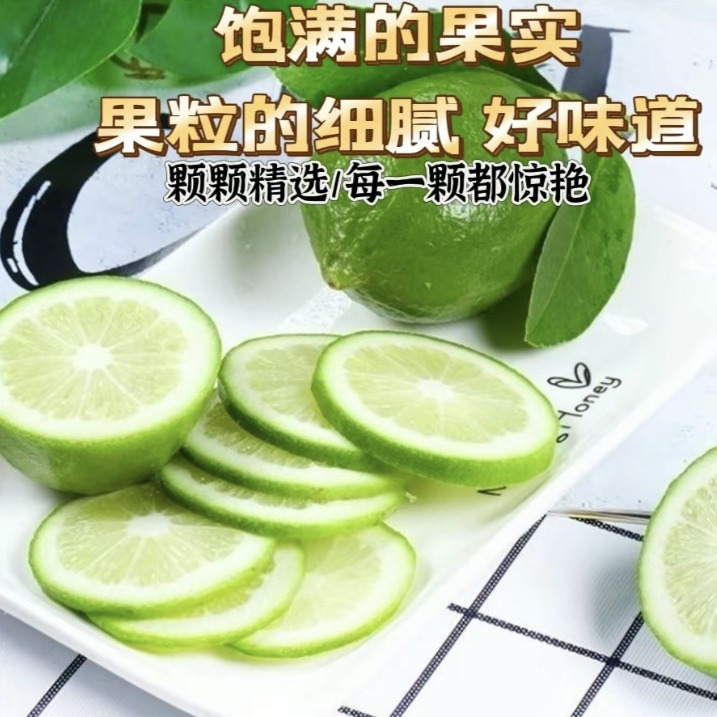 Guangdong Perfume Lemon Fresh Wild Green Lemon Seedless Large Fruit Special Fruit Seasonal Fruit Milk Tea Shop Exclusive