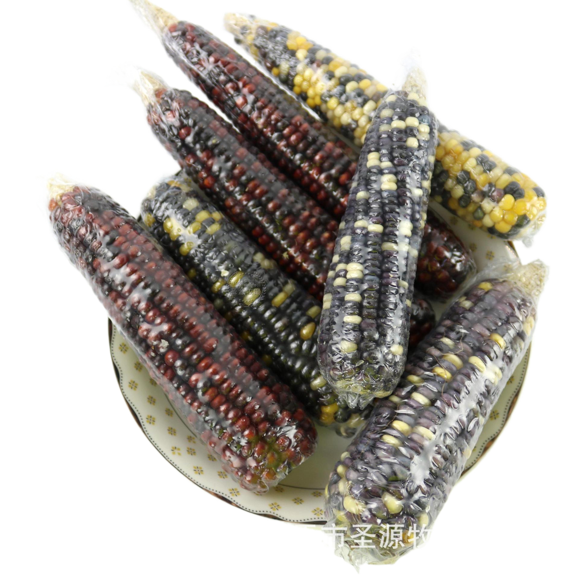 25 Years Mini Small Corn Hamster Molar Corn Golden Bear Rabbit Totoro Flower Branch Mouse Molar Snack Totoro