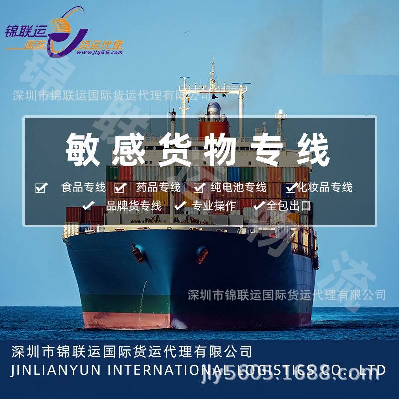European Shipping Line for Sensitive Goods, Transporting Imitation Electronic Products to Germany, Double Clearance, Tax-Included, Door-To-Door