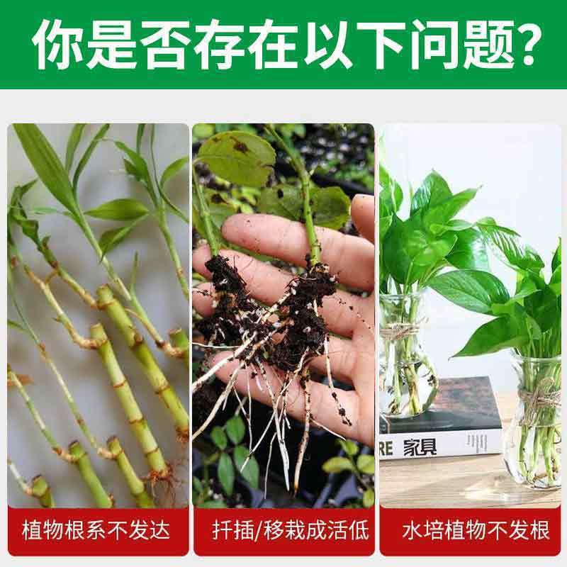 Rose Rooting Liquid Rooting Agent Cuttings Flower Arrangement Seedling Rapid Rooting Liquid Seedling Strengthening Agent New Root Strengthening Agent
