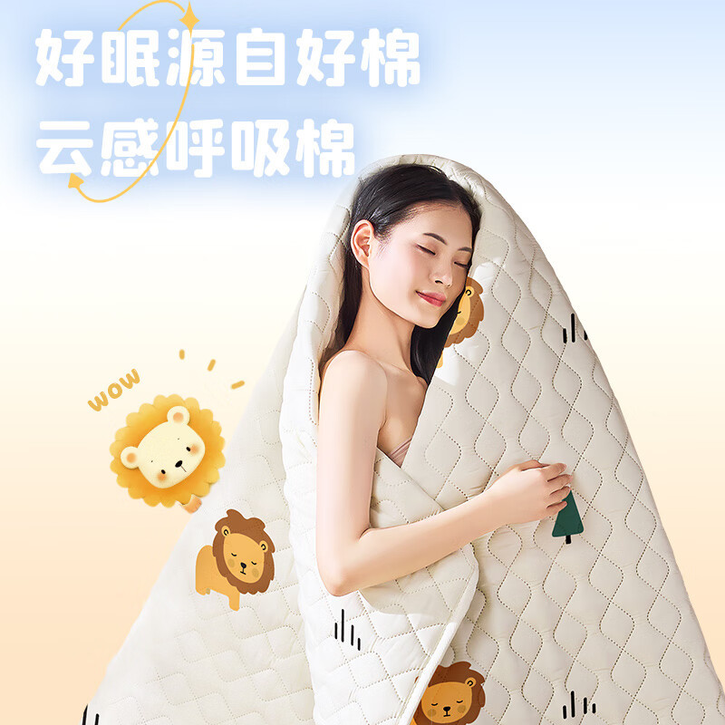 Chigo electric blanket electric mattress single double blanket double temperature control home student dormitory a generation of hair