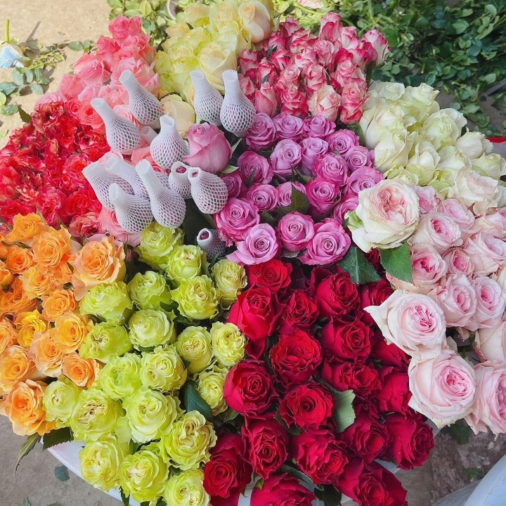 Yunnan Flower Wholesale Rose Real Flower Flower Shop Daytime Event Special Flowers First-Hand Source Roses Shipped Nationwide