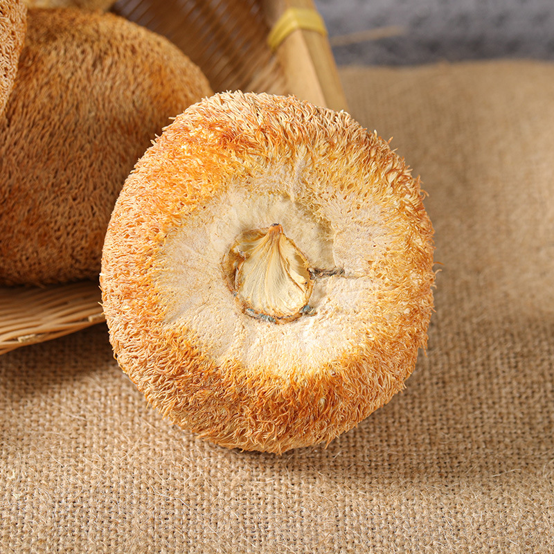 [Funyan] Hericium erinaceus Dry Mushroom Soup Hericium erinaceus