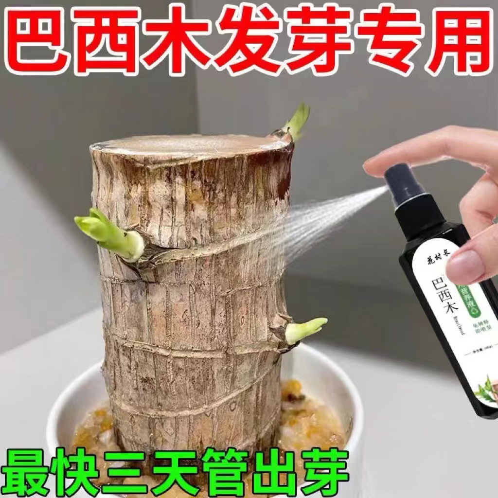 Brazil wood nutrient solution special fertilizer lucky wood hydroponic hydroponic plant potted flowering germination rooting liquid