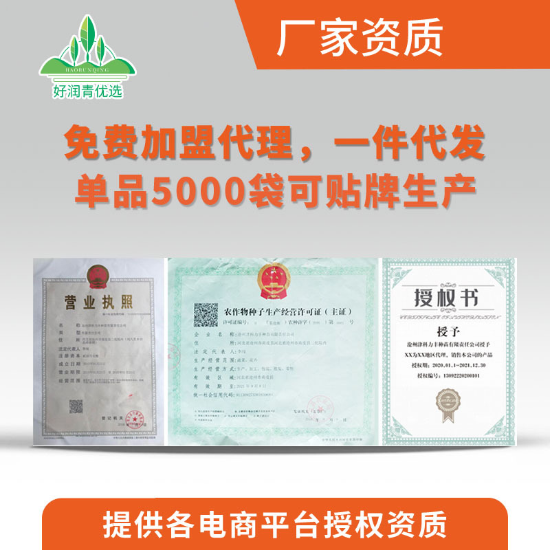 Kirin 8424 Watermelon Seeds, Early Maturing, Early Maturing, Lazy Man Rock Sugar, Kirin Jingxin Watermelon Seeds, Sweet and Crisp Fruit Seeds